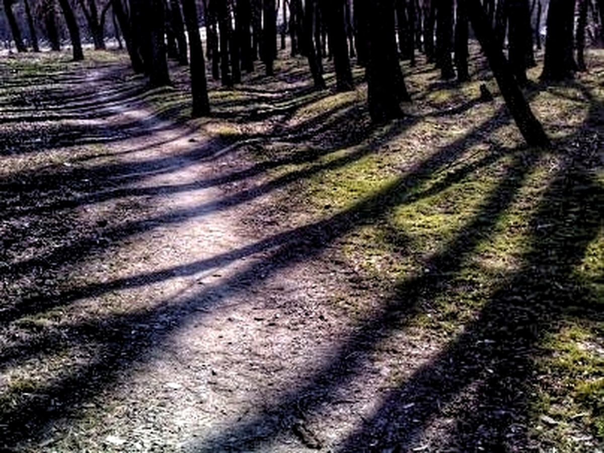 roads04