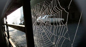 Пароль у входа в «Интернет»