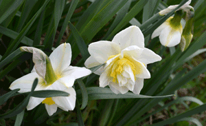 «Ушла зима…»