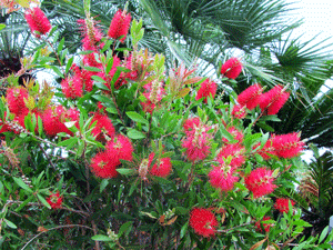 Дмитрий Качмар. Перезвоню